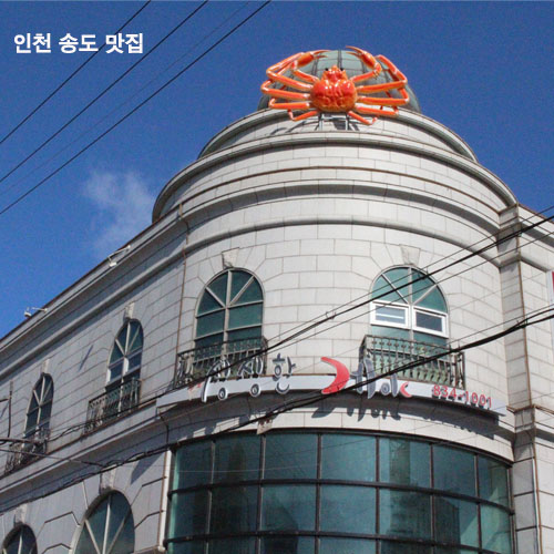 싱싱한게야 이미지