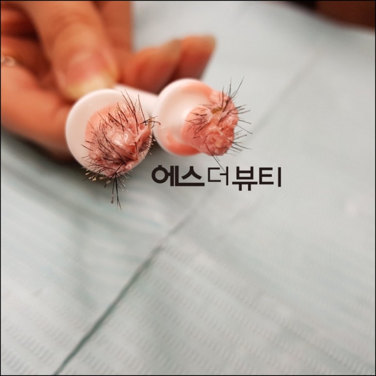 에스더속눈썹 이미지