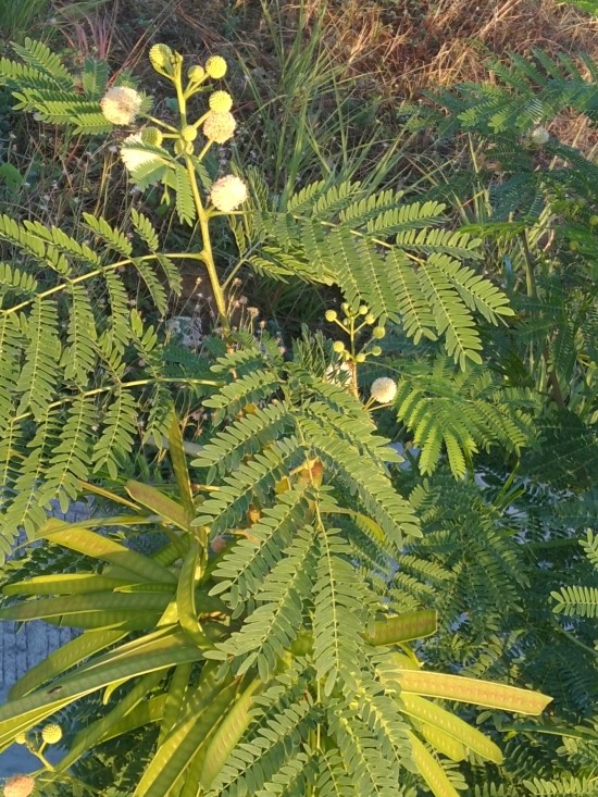 (주)투위 이미지