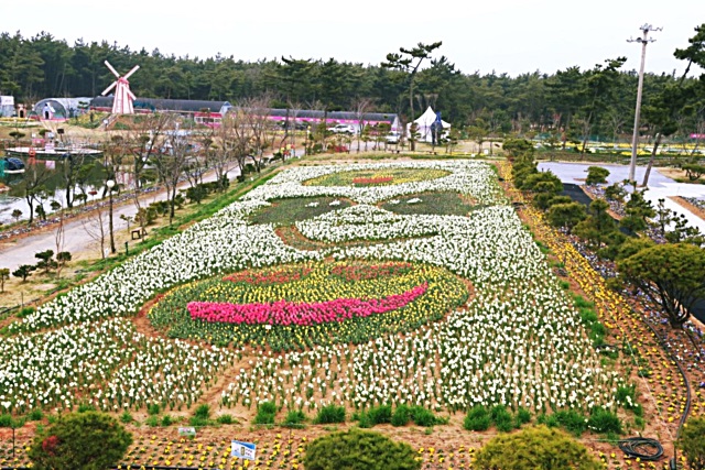 동백원 이미지
