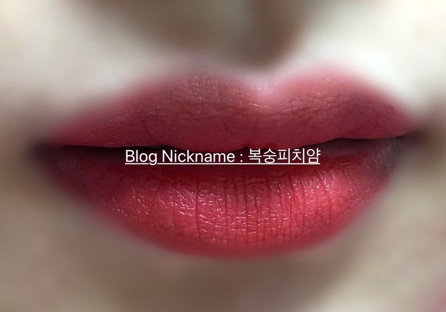 하비스트문 이미지