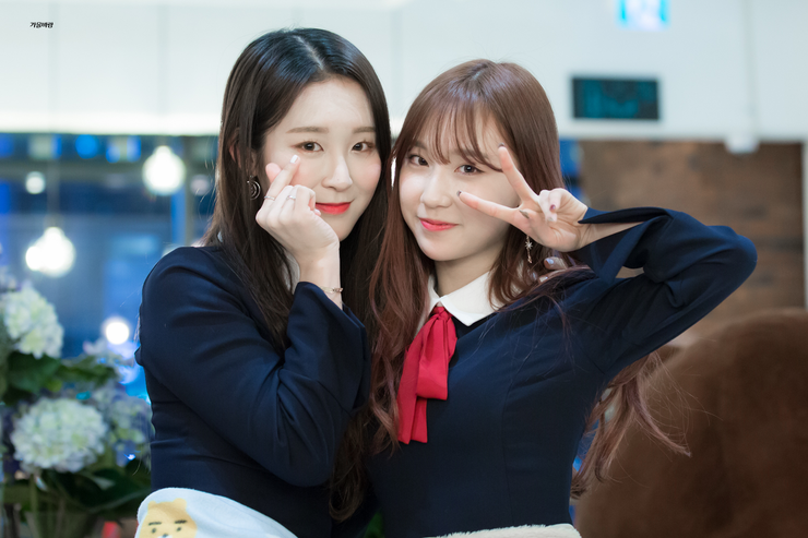 에스아이에스 이미지