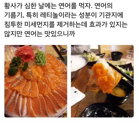 회랑연어랑 이미지