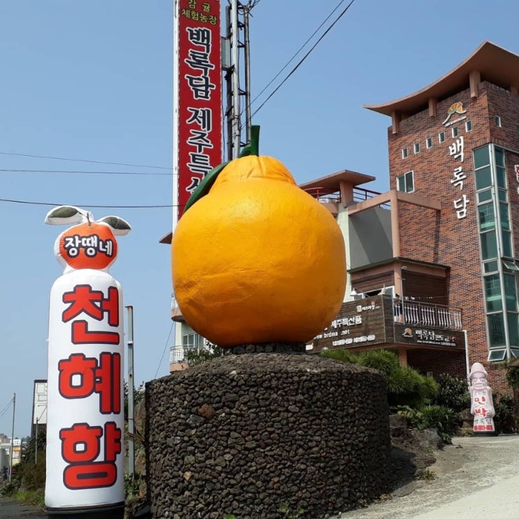 백록담제주특산품 이미지