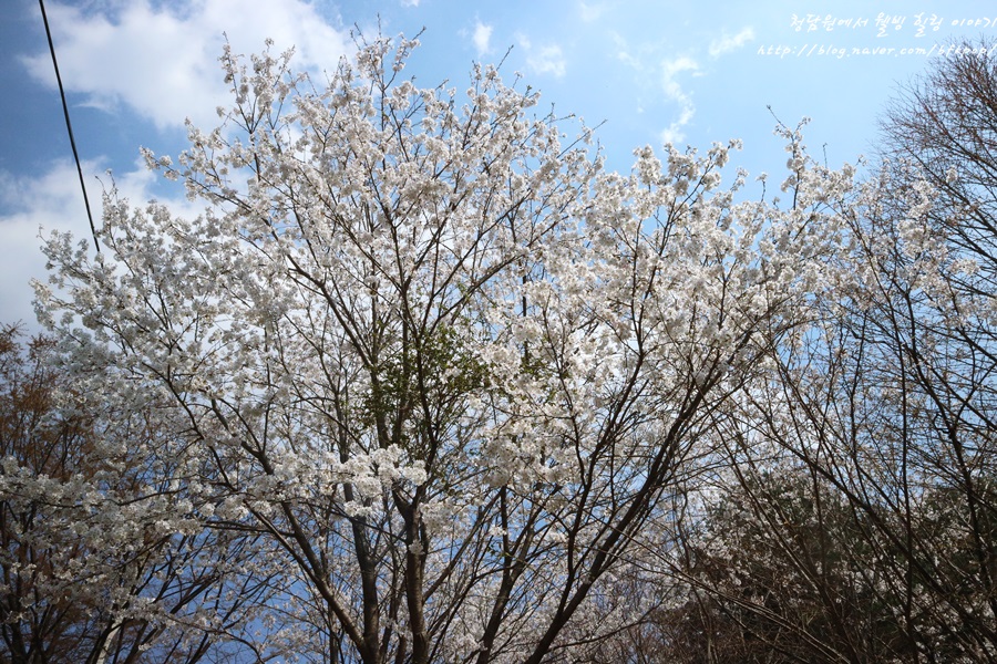 (주)청담원 이미지