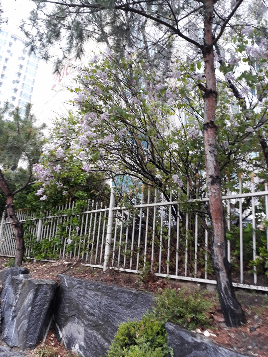 경기파출직업소개소 이미지