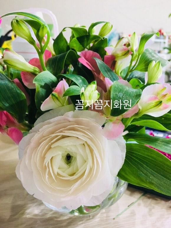 꼼지꼼지화원 이미지