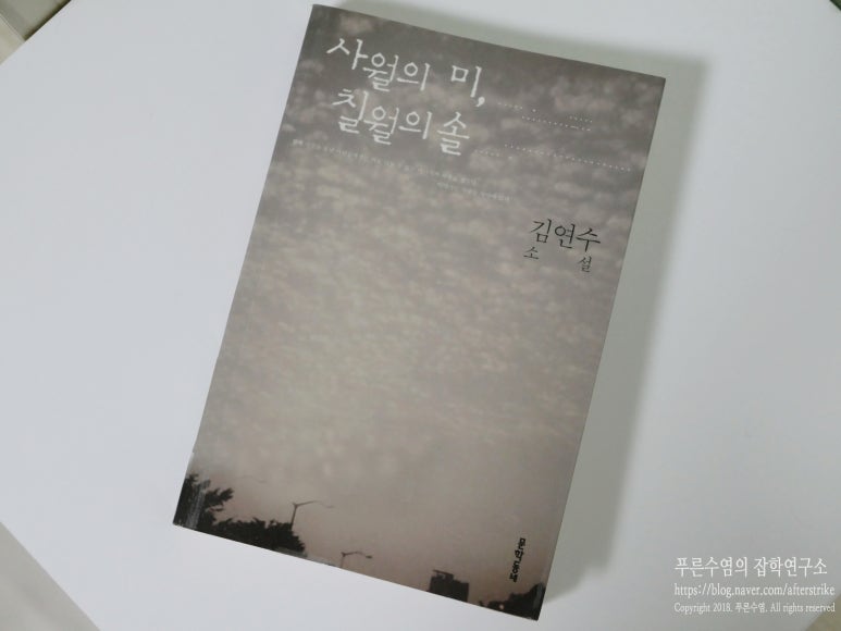 체안미 이미지