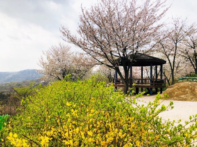 앞산공원 이미지