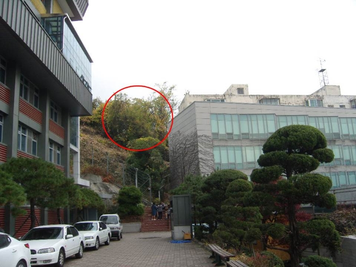 유한회사 서울 이미지