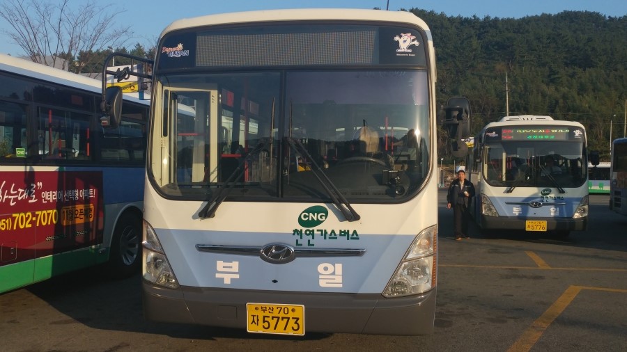 동신스폰지 이미지