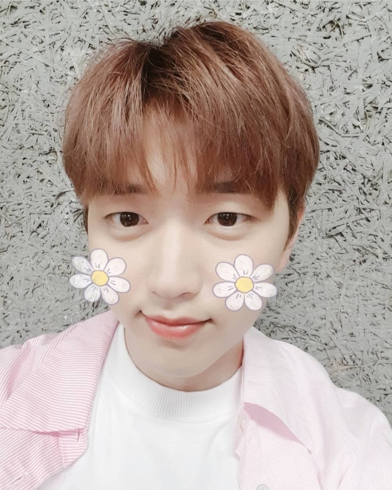 봄날,꽃 이미지