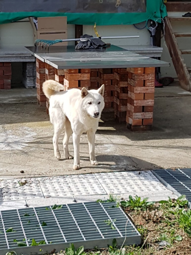 예삐농장 이미지