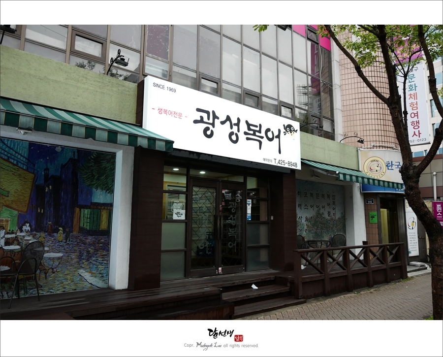 광성복어 이미지
