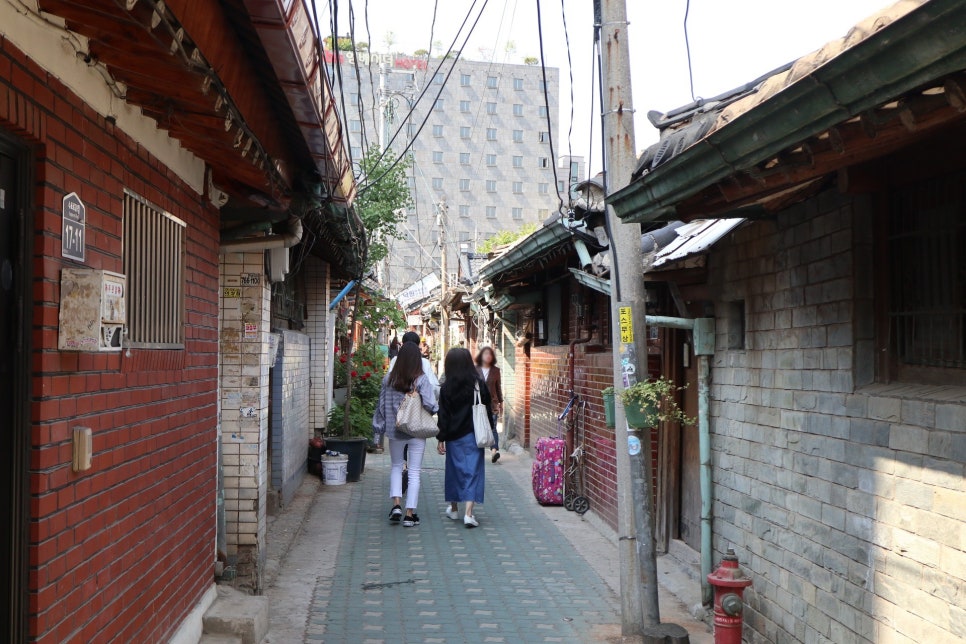 펠리스트 이미지