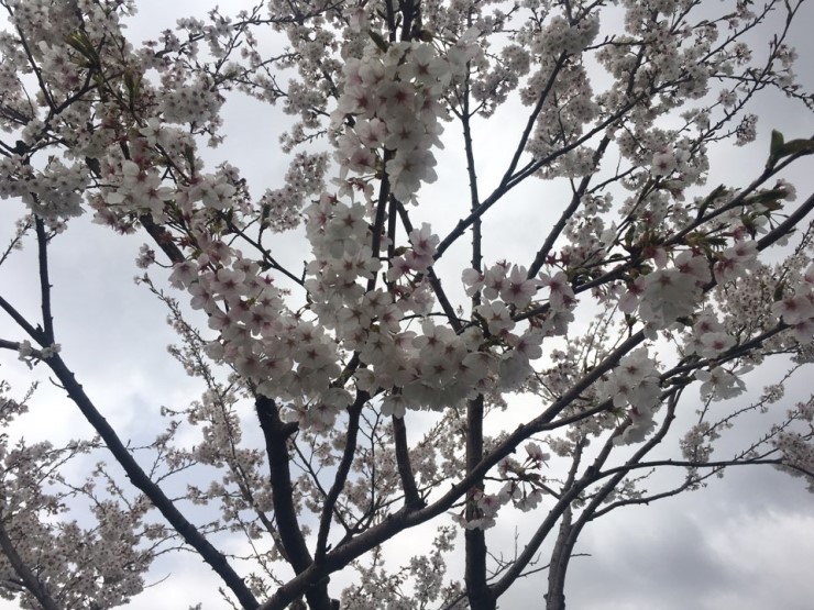 인제축협 강원한우판매장 이미지