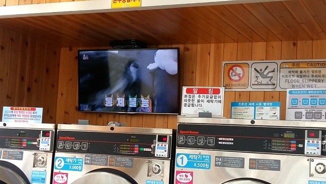 코런빨래방 이미지