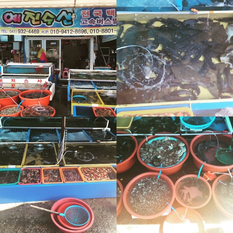 예진수산 이미지