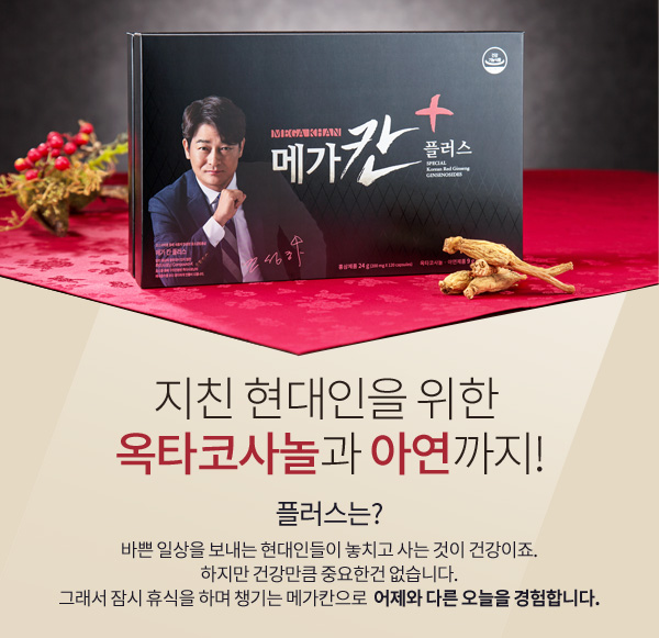 메가플러스 이미지