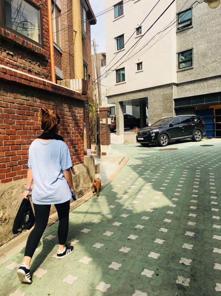 보보투어 이미지
