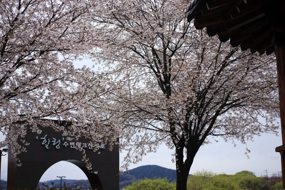 논산목재 이미지