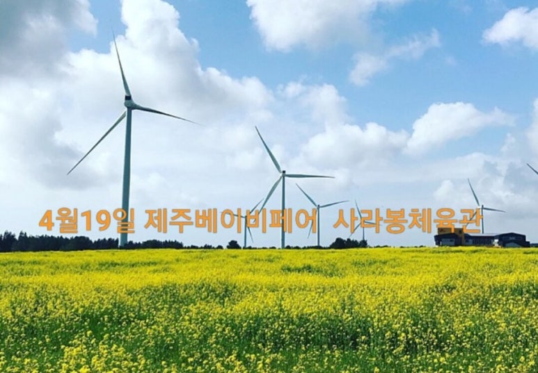 해피조이스튜디오 이미지