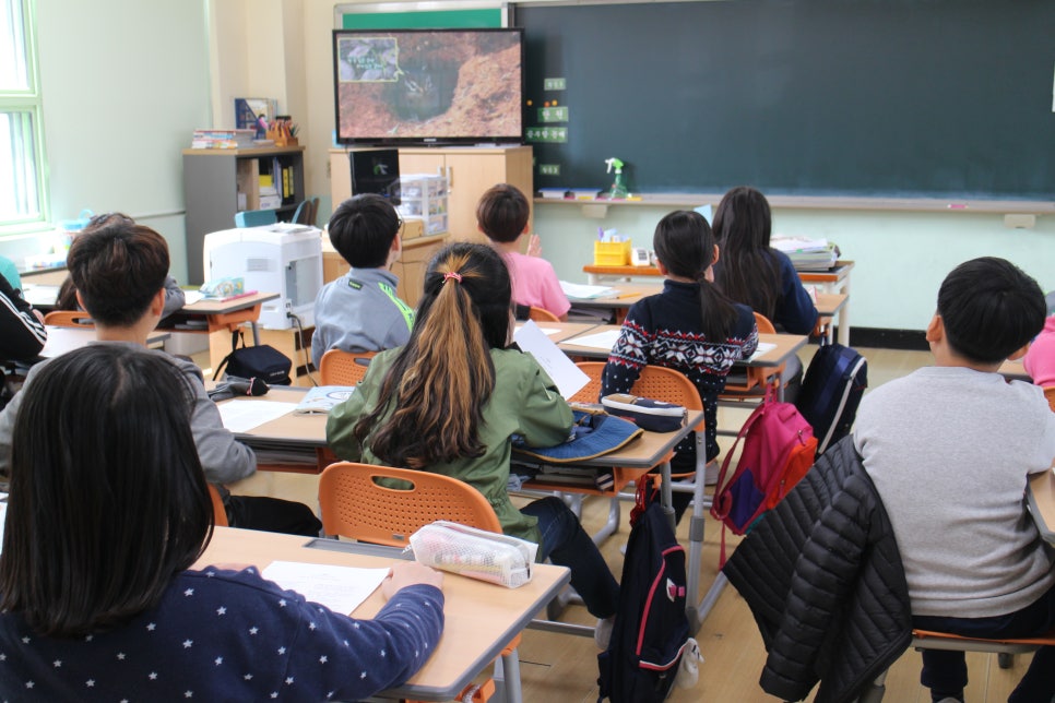 가조초등학교 이미지