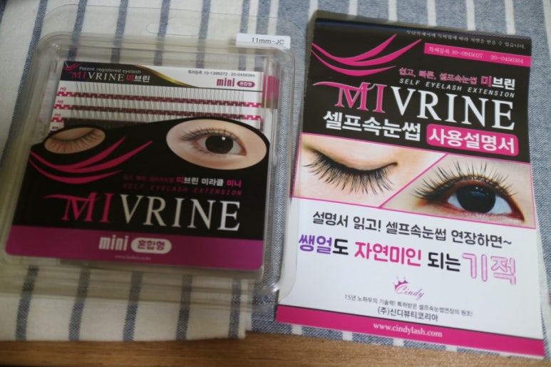신디코리아 이미지