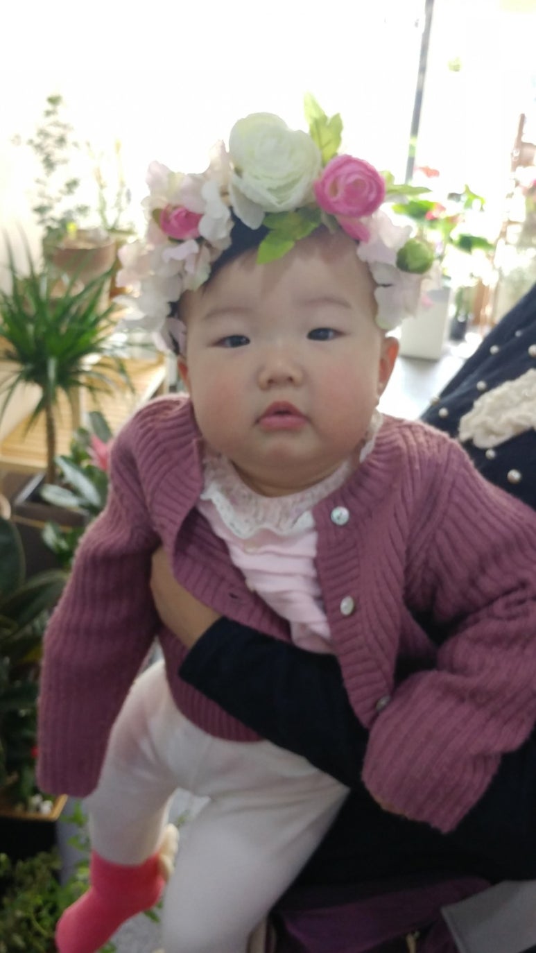 바이올렛가든 이미지