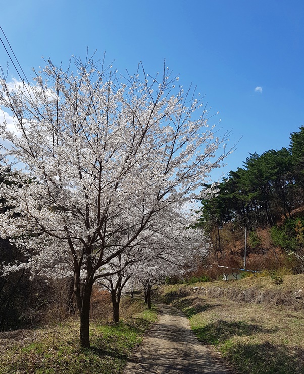 연풍연가캠핑장 이미지