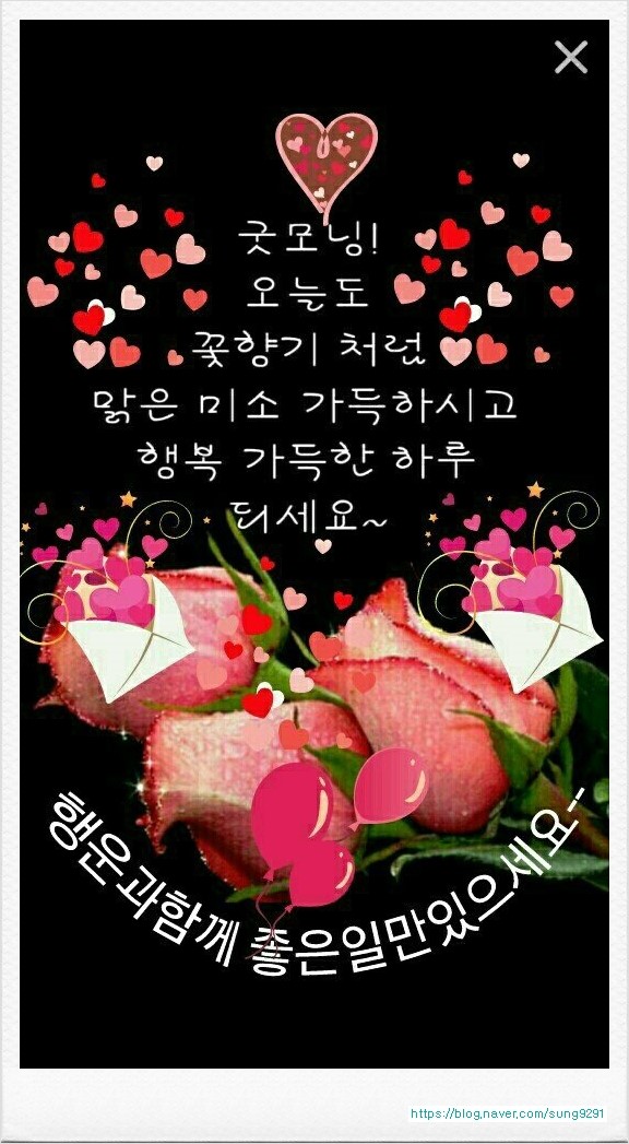 오늘그리고내일 이미지