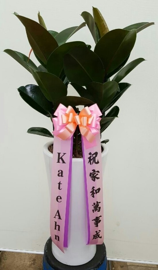 국가대표꽃배달엔플라워 이미지
