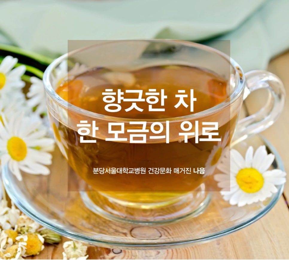위로푸드 이미지