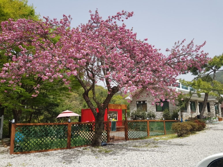 산정식당 이미지