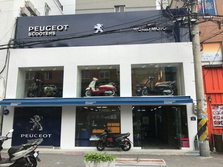 월드세차 이미지