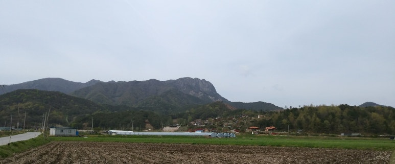 추월산이보이는집 이미지