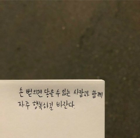 용토스트 이미지