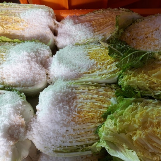 토종반찬 이미지