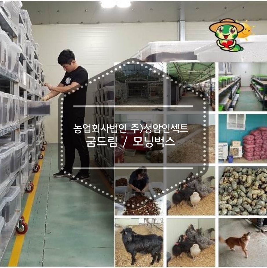 농업회사법인 성암인섹트(주) 이미지