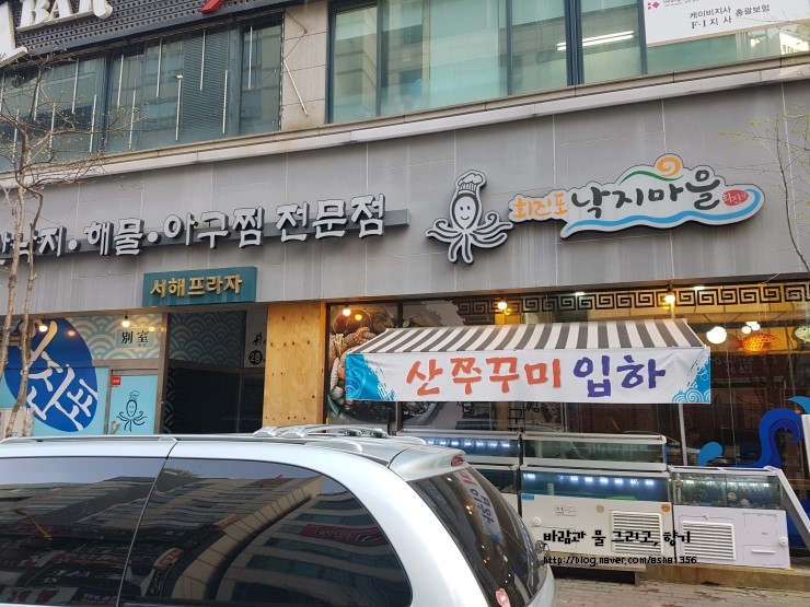 회진포낙지마을 이미지