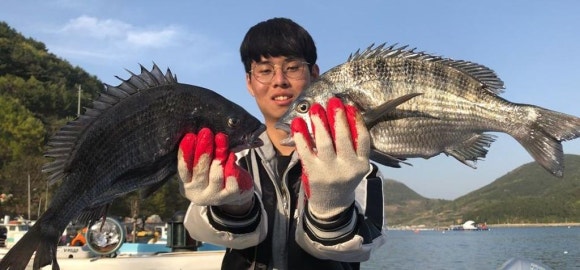 대*****물 이미지