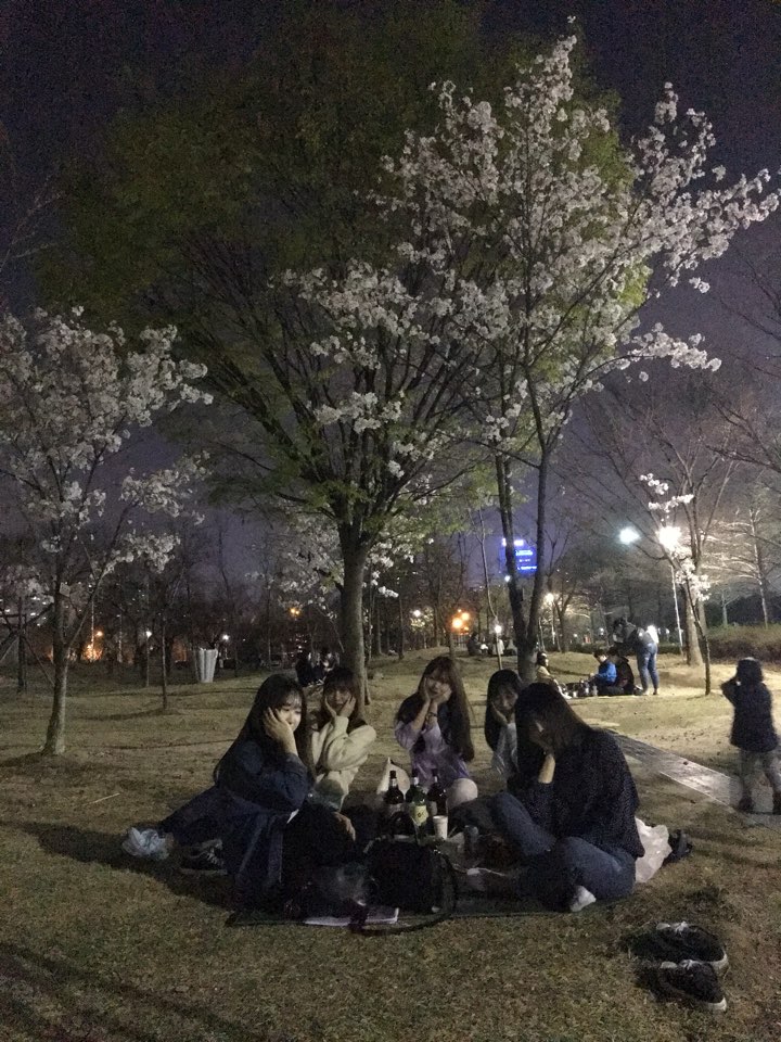 피자마루롯데마트 이미지