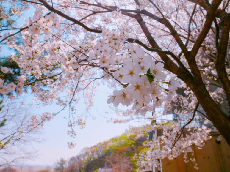 무무(MUMU) 이미지