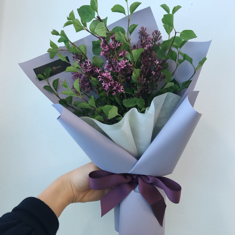라일락플라워 이미지