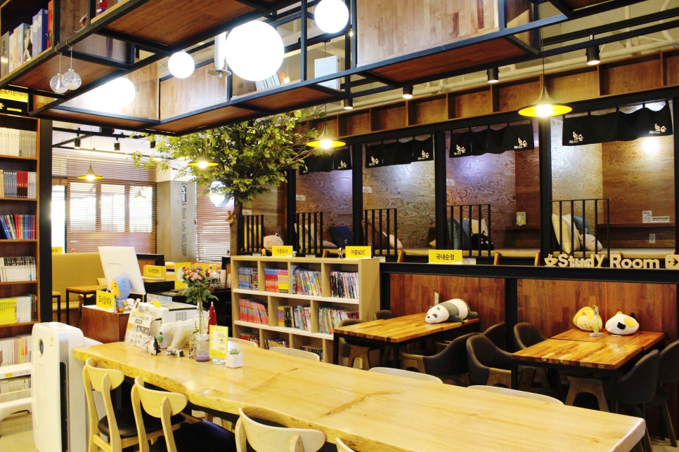 놀숲 대전도안점 이미지