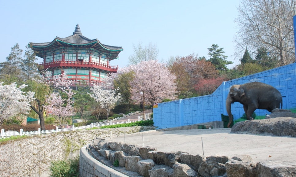 아이나라 키즈파크 이미지