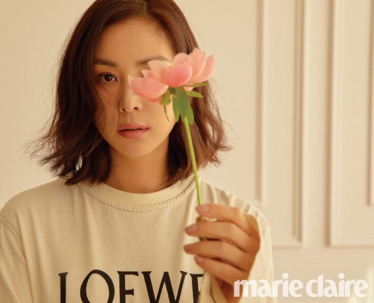 파슈 이미지