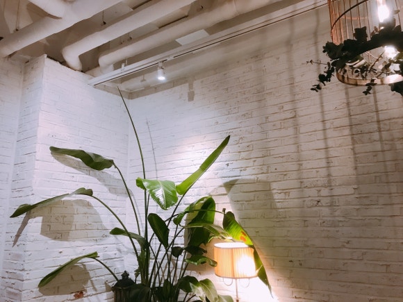 이솝가드닝카페 이미지