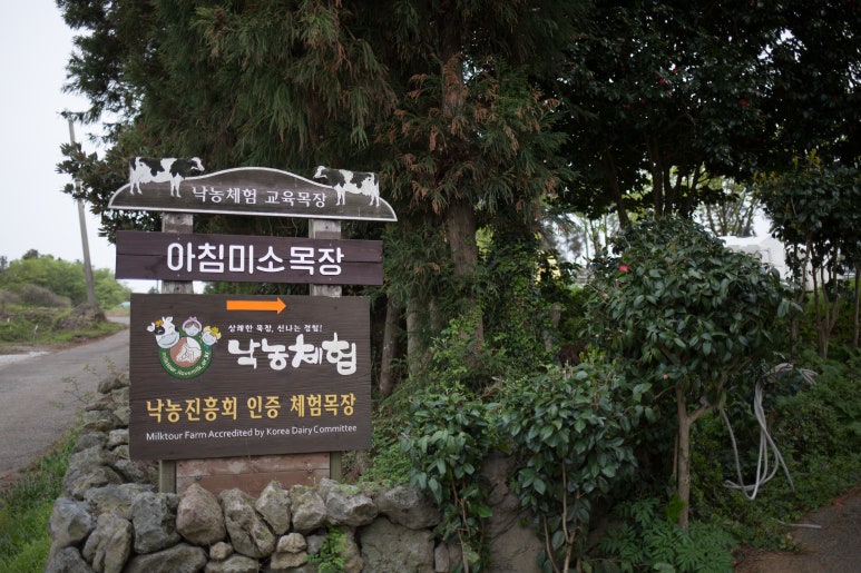 제주미소투어 이미지