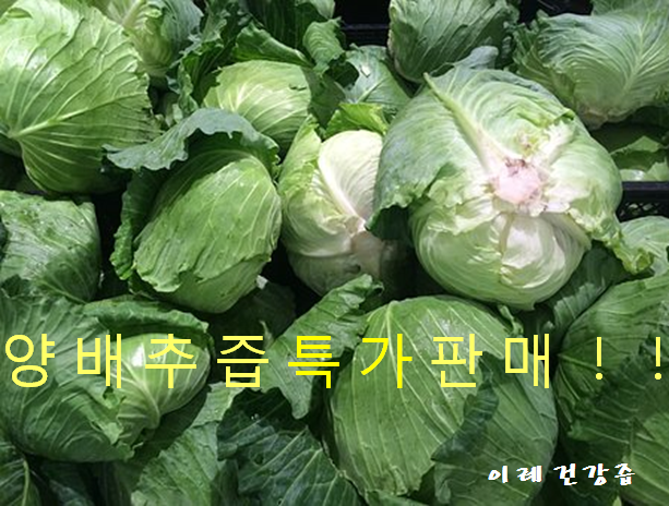 이레건강원 이미지